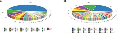 Comprehensive genomic analysis of primary bone sarcomas reveals different genetic patterns compared with soft tissue sarcomas